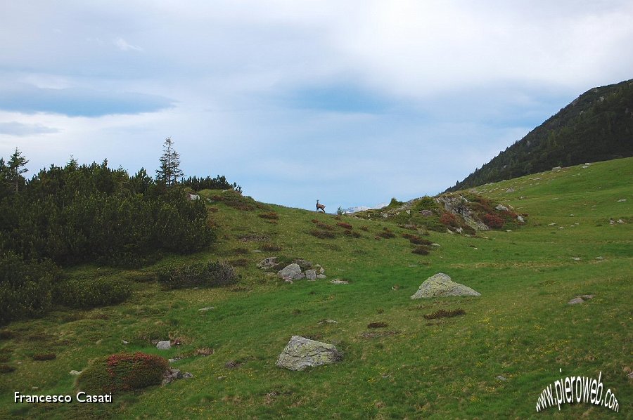 02 Incontro alla Baita Campo.jpg